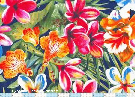 Hibiscus Island Floral Plumaria