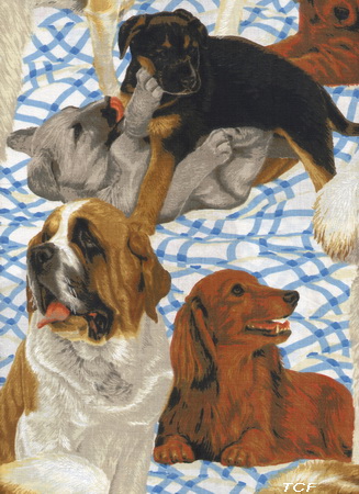 Dogs Collie Dalmation Poodle Labs Blue Check