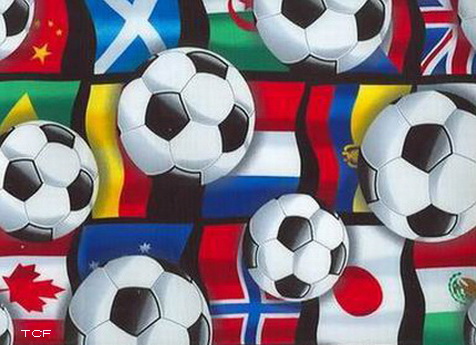 Soccer World Flags Fabric